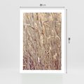 Plakat bez ramy 21x30 - Suche Trawy w Wyjątkowym Stylu - suche trawy, boho styl