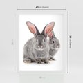 Plakat w ramie 40x50 - Uroczy królik wśród natury - królik, zając - rama biała