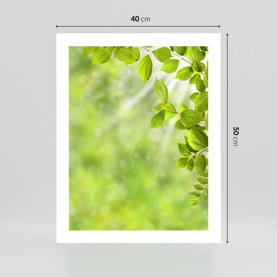 Plakat bez ramy 40x50 - Zielone liście natury - liści, zieleń