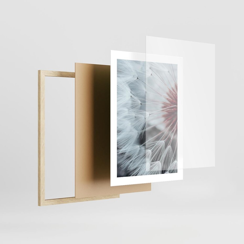 Plakat w ramie 30x40 - Makro Magii Natury - dmuchawiec, zbliżenie makro - rama drewno