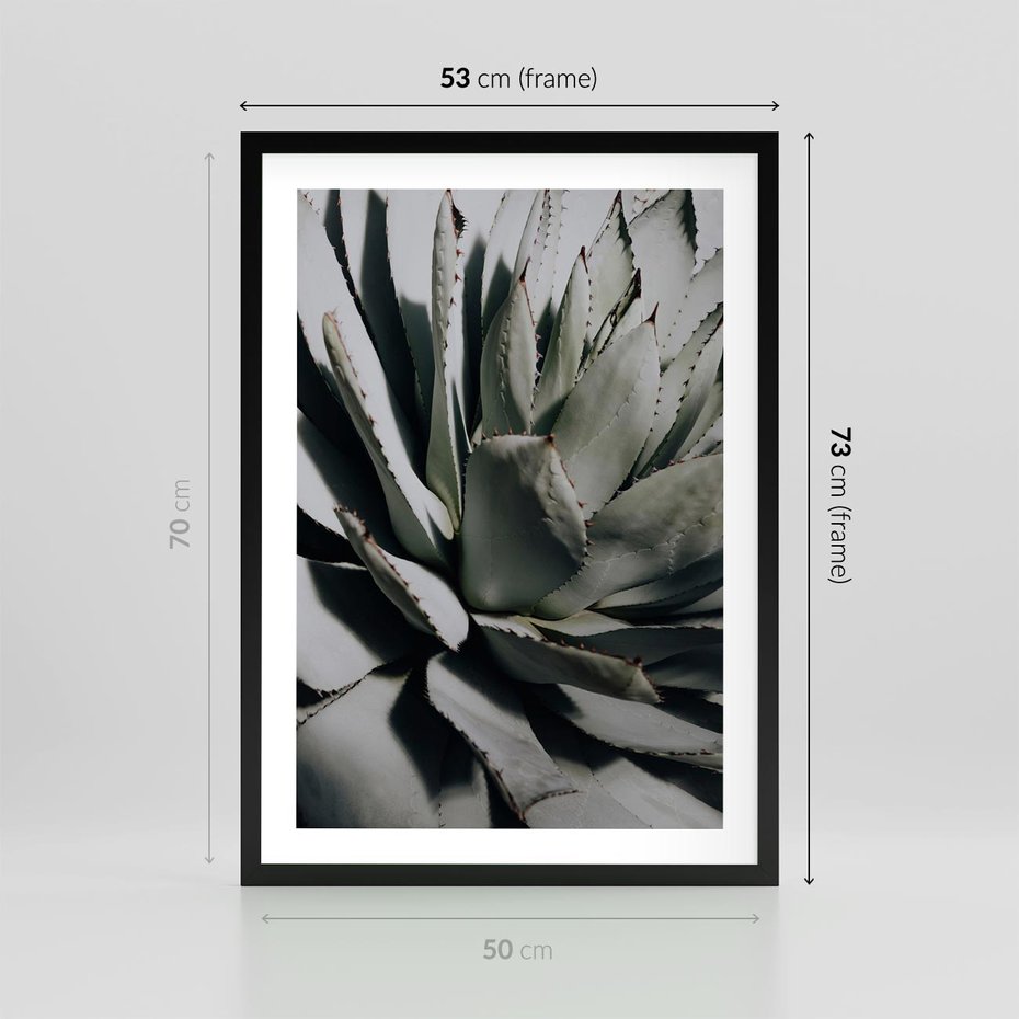 Plakat w ramie 50x70 - Sukulenty wśród kaktusów - sukulenty, kaktusy - rama czarna