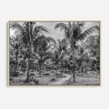 Obraz w ramie 100x70 - Mroczna Ścieżka Tropików - czarno biała fotografia, ścieżka pośród palm - rama drewno