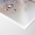 Plakat bez ramy 21x30 - Delikatne Natchnienie - krople, dmuchawce
