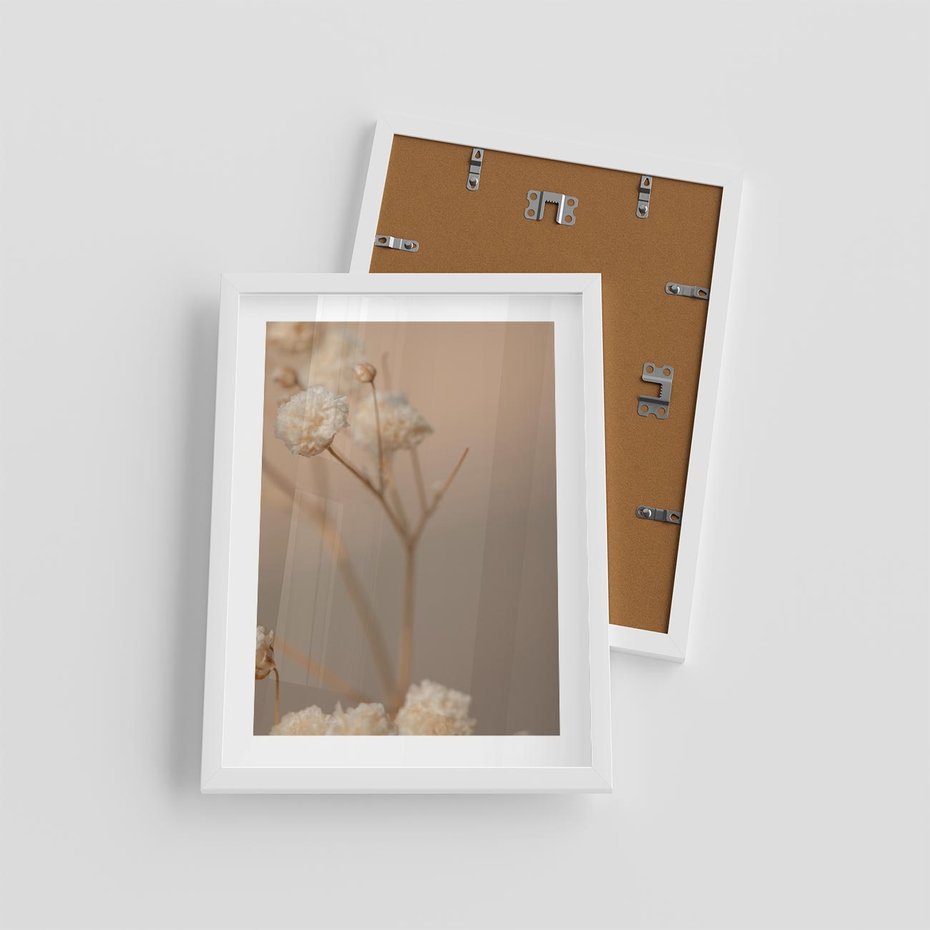 Plakat w ramie 30x40 - Subtelna gipsówka - gipsówka, suche - rama biała