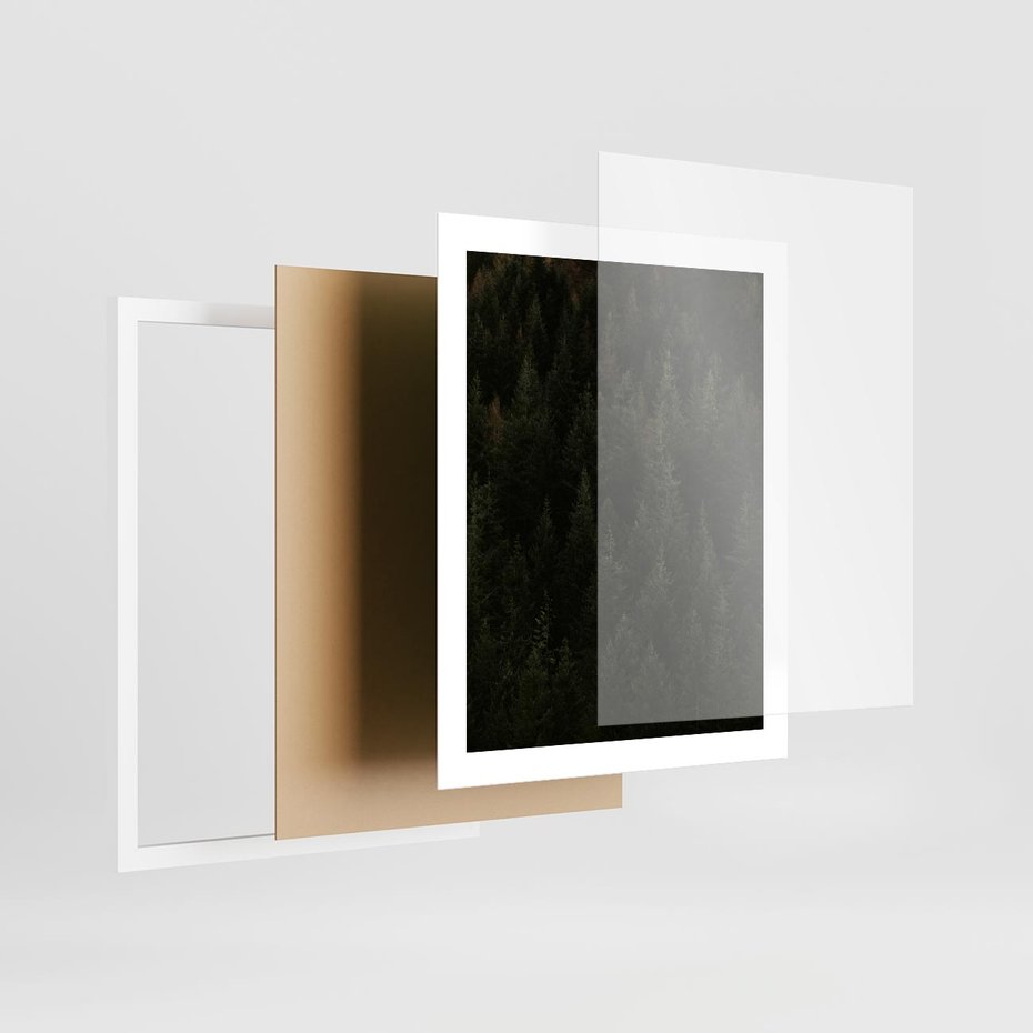 Plakat w ramie 40x50 - Ciemny las iglasty - las, iglasty - rama biała