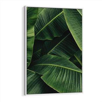 Obraz w ramie 80x120 - Zaklęta roślinna ekspresja - liście bananowca, gęsto ułożone - rama biała