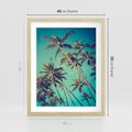 Plakat w ramie 40x50 - Tropikalne palmy w krainie słonecznych wakacji - palmy, tropiki - rama drewno
