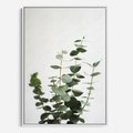 Obraz w ramie 80x120 - Żywa eukaliptusowa zieleń - eukaliptus, zielone - rama biała