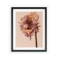 Plakat w ramie 40x50 - Delikatne piękno - suche, kwiaty - rama czarna