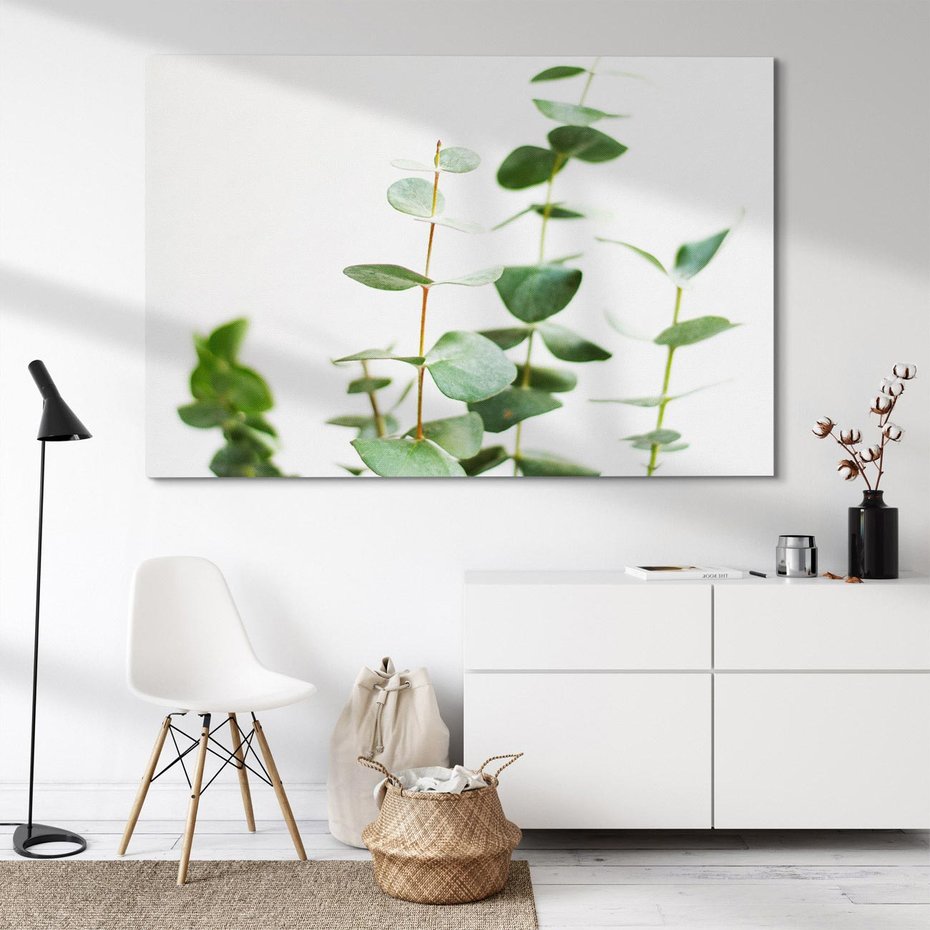 Obraz na płótnie 120x80 - Żywa eukaliptusowa zieleń - eukaliptus, zielone