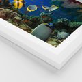 Plakat w ramie 30x40 - Podwodne królestwo rafy koralowej - rafa, koralowa - rama biała
