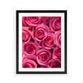 Plakat w ramie 40x50 - Romantyczne róże w pełnym rozkwicie - róże, kwiaty - rama czarna