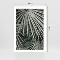Plakat bez ramy 21x30 - Ujęcie Tropikalnej Natury - palmy, liście palmy