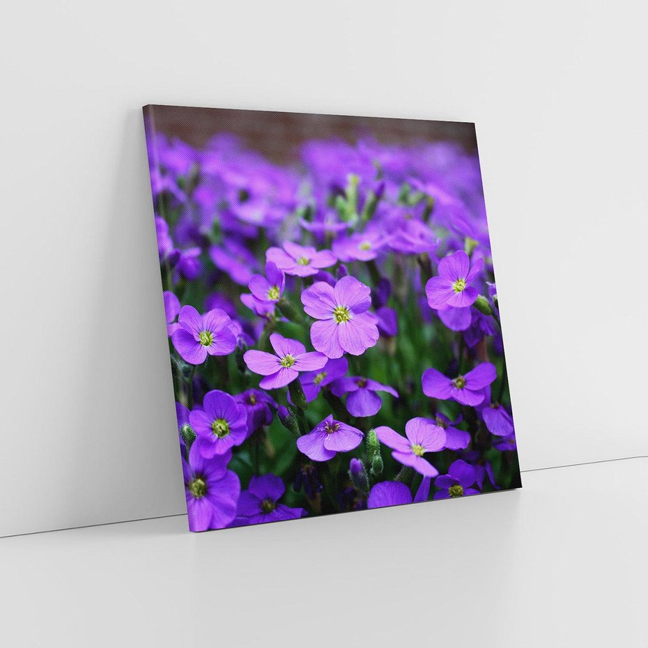 Obraz na płótnie 80x80 - Kwiatowe uniesienia magia natury - kwiat, kwiaty