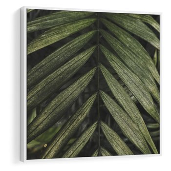 Obraz w ramie 50x50 - W Liściach Ukryte - zdjęcie, fotografia - rama biała