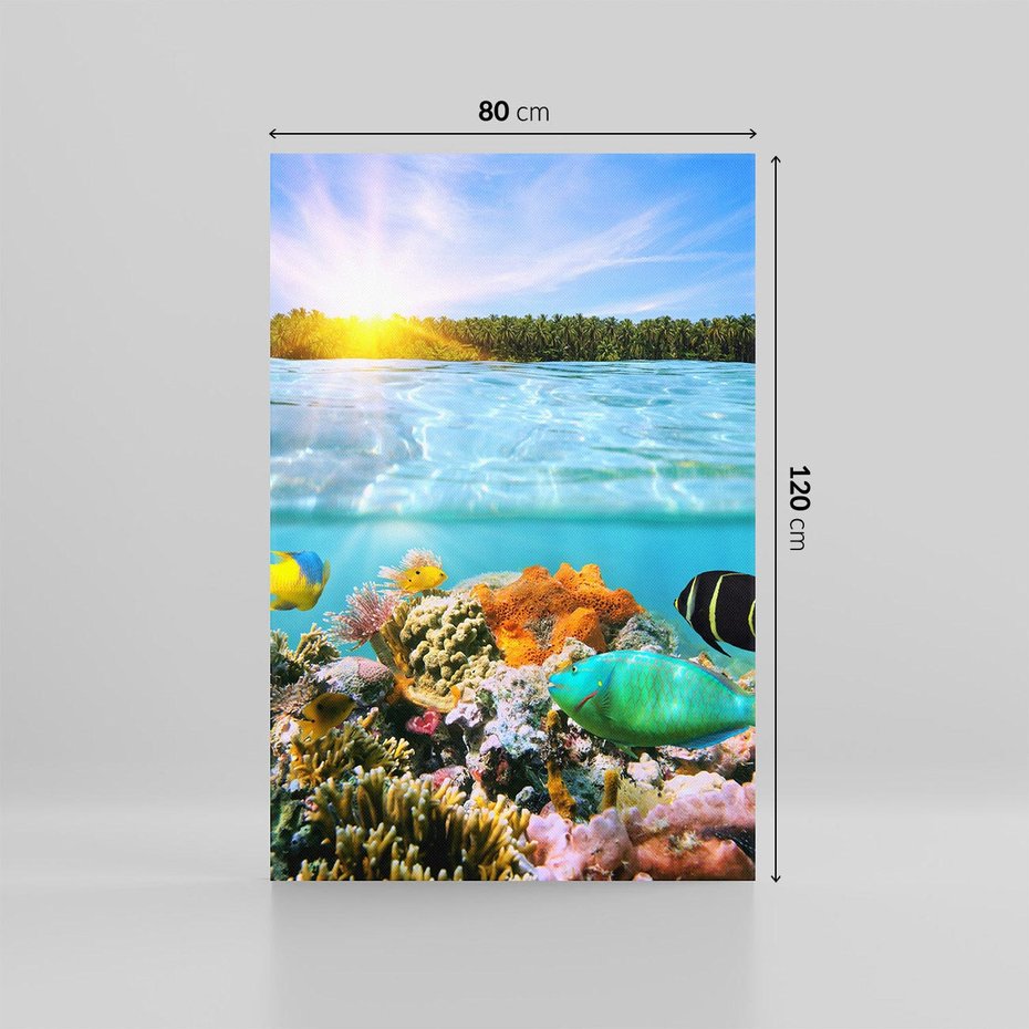 Obraz na płótnie 80x120 - Rafa Koralowa - Podwodne Cuda - rafa, koralowa