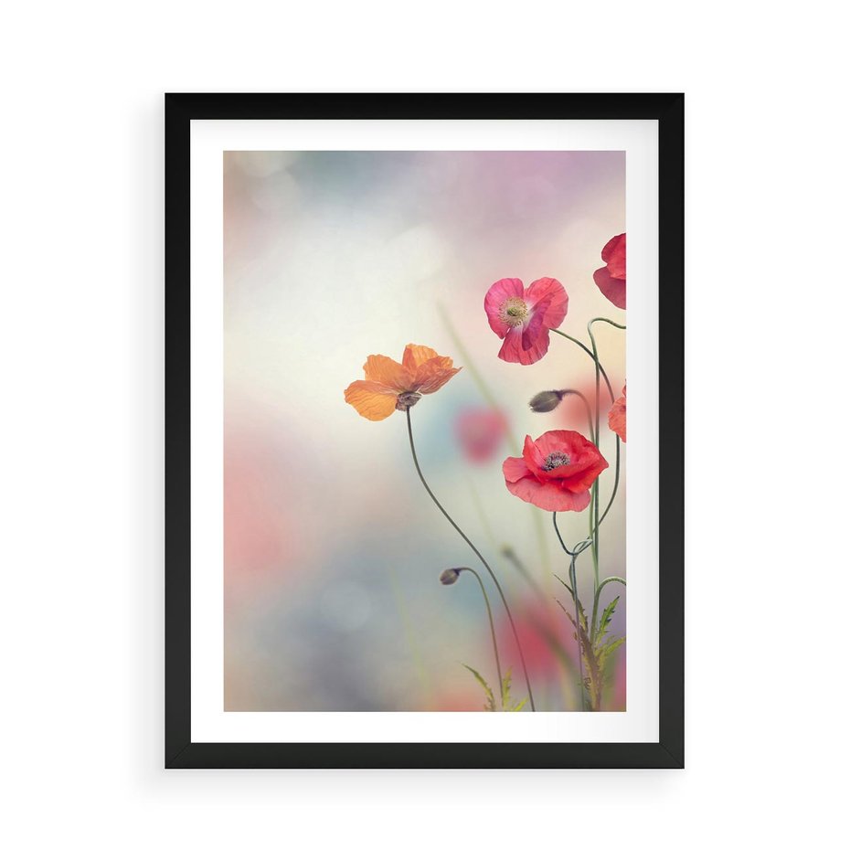 Plakat w ramie 50x70 - Urok natury - kwiaty, akwarela - rama czarna