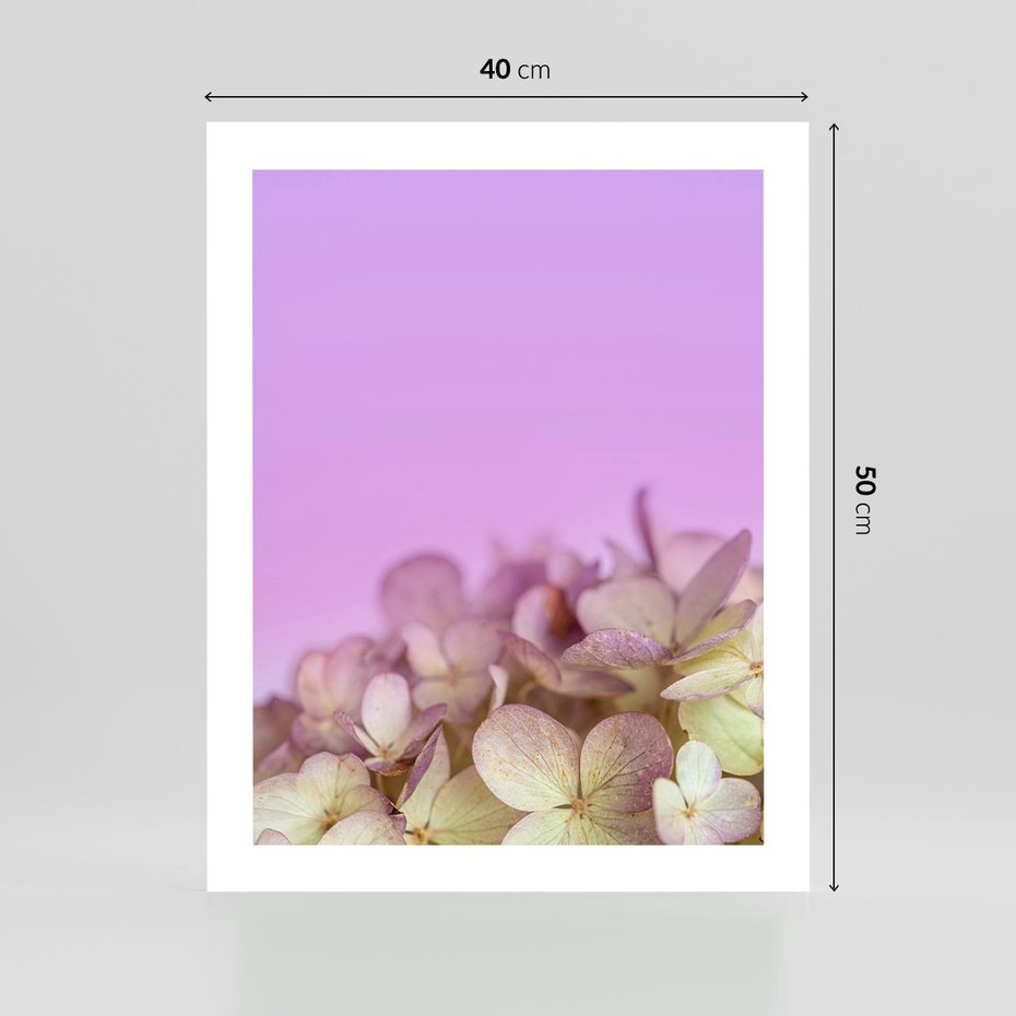 Plakat bez ramy 40x50 - Kwiatowa Uroda - kwiaty, hortensje