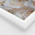 Plakat w ramie 30x40 - Białe róże piękności - białe, róże - rama biała