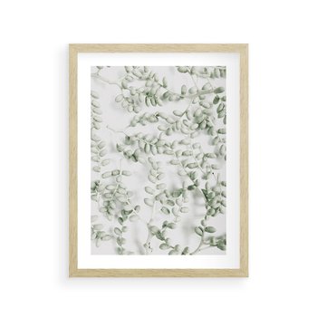 Plakat w ramie 50x70 - Delikatność Zieleni - zielone gałązki, listki - rama drewno