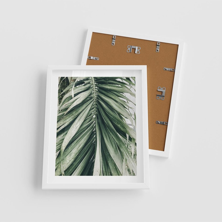 Plakat w ramie 40x50 - Spokojna Piękność Palmowych Liści - palma, liście palmy - rama biała