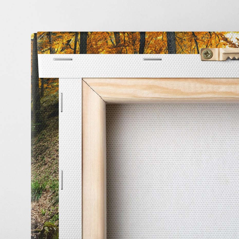 Obraz na płótnie 120x60 - Urok lasu: drzewa i strumyk w harmonii - las, drzewa