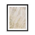 Plakat w ramie 40x50 - Białe Trawy Pampas - suche trawy, białe trawy - rama czarna