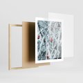 Plakat w ramie 40x50 - Zima na Gałęziach - zima, oszronione gałęzie - rama drewno