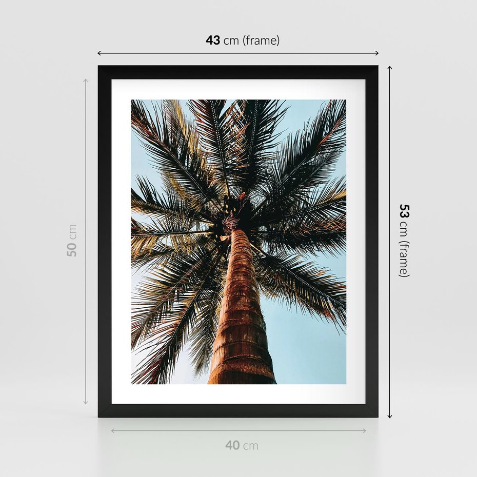 Plakat w ramie 40x50 - Rajskie Inspiracje: Palma na Niebie - palma, na tle nieba - rama czarna