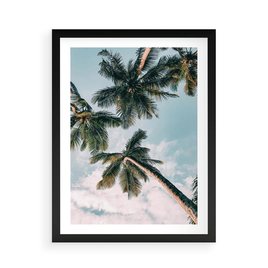 Plakat w ramie 50x70 - Wzrok ku Niebu - palmy na tle nieba, ujęcie z dołu - rama czarna