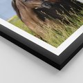 Plakat w ramie 30x40 - Siła i piękno natury - koń, łąka - rama czarna