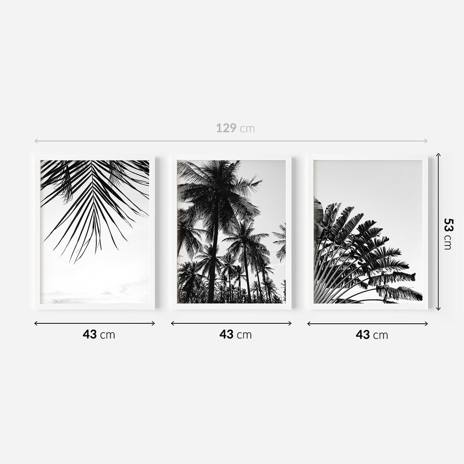 Zestaw obrazy w ramie 40x50 galeria - Palmy, czarno, biały, minimalizm - rama biała