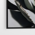 Obraz w ramie 70x50 - Sukulenty wśród kaktusów - sukulenty, kaktusy - rama czarna