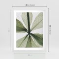 Plakat w ramie 40x50 - Jasna Zieleń w Makro - makro zdjęcie liści, jasna zieleń - rama biała