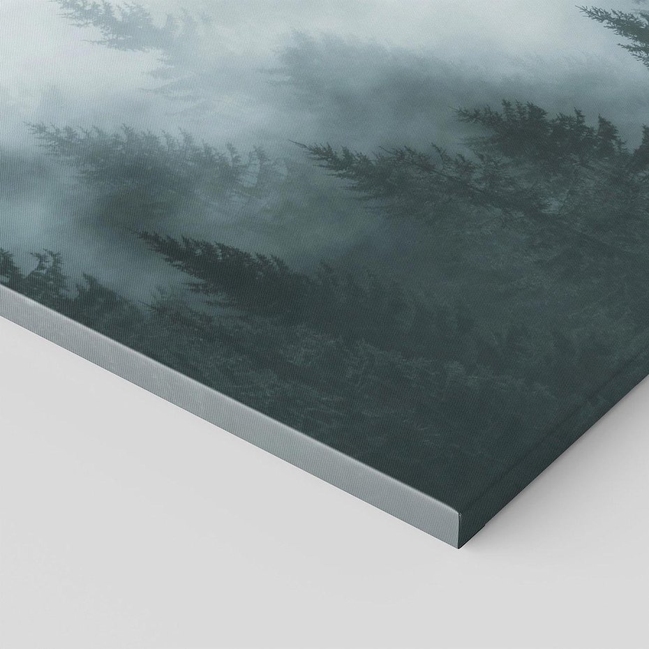 Obraz na płótnie 120x60 - Las w Mgłe - las, we