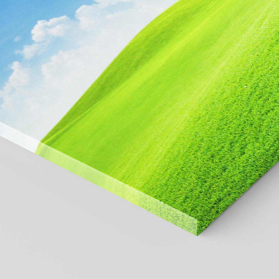 Obraz na płótnie 120x40 - Łąka pod Niebem - łąka, niebo