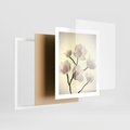 Plakat w ramie 40x50 - Elegancja Natury - magnolia, białe - rama biała