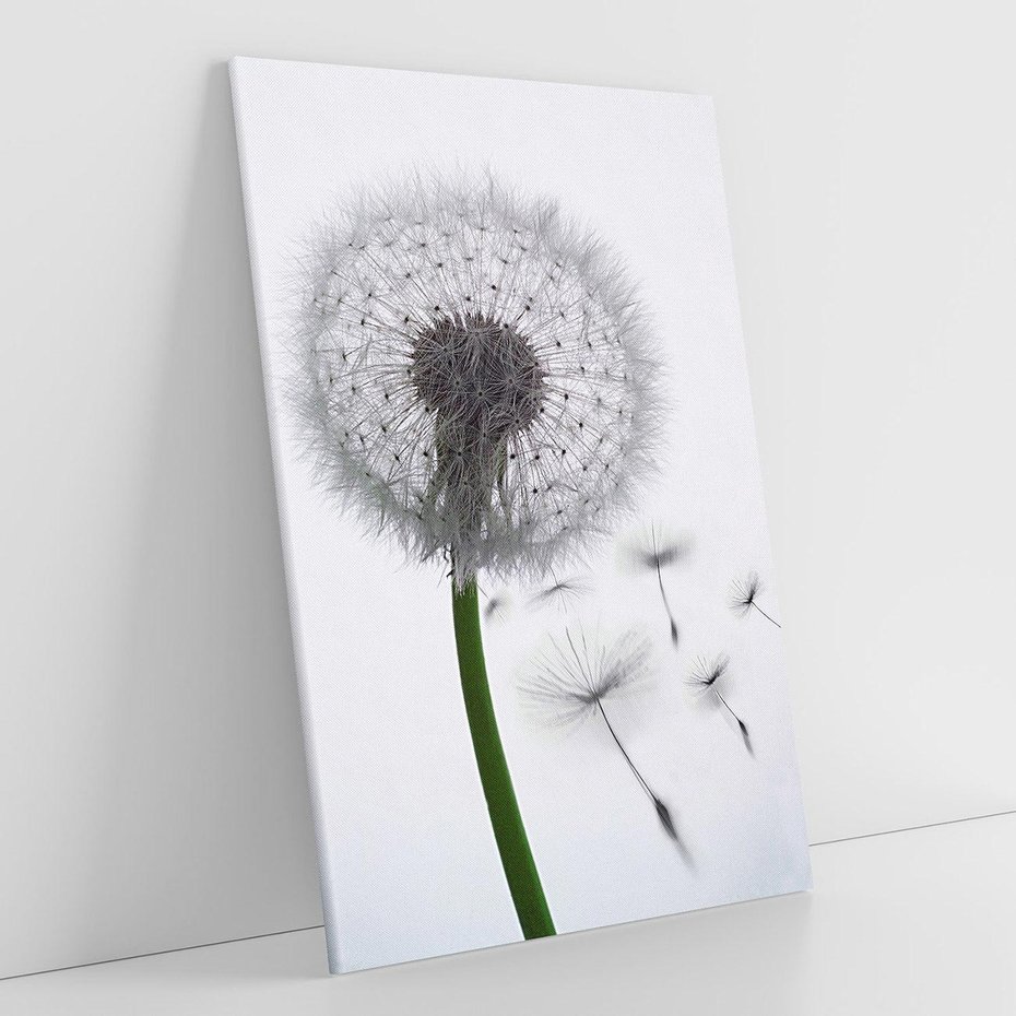 Obraz na płótnie 80x120 - Lekkość Przemijania - dmuchawiec, makro