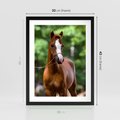 Plakat w ramie 30x40 - Portret Szlachetnego Konia - koń, portret - rama czarna