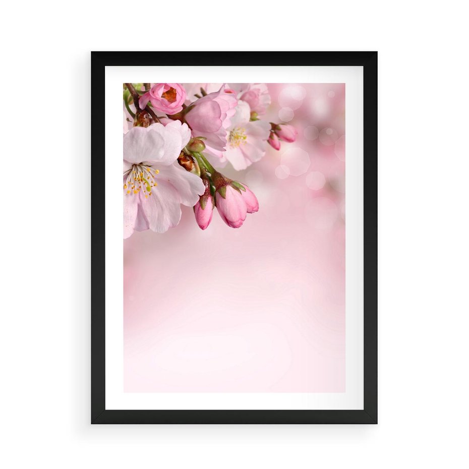 Plakat w ramie 50x70 - Kwitnąca wiśnia: delikatność natury - kwitnąca, wiśnia - rama czarna