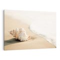 Obraz na płótnie 70x50 - Urok plażowej muszelki - fotografia, muszla na plaży