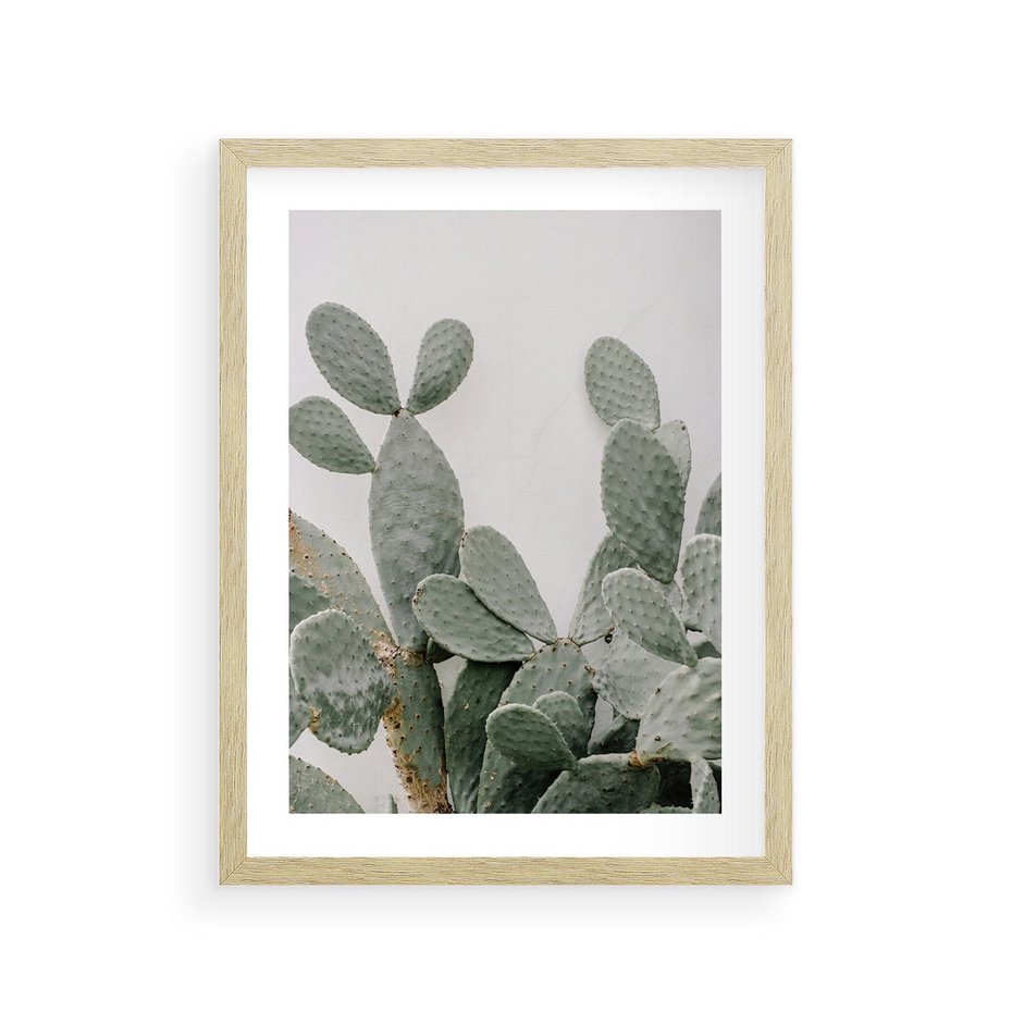 Plakat w ramie 30x40 - Imponujący Kaktus - duży kaktus, opuncja - rama drewno