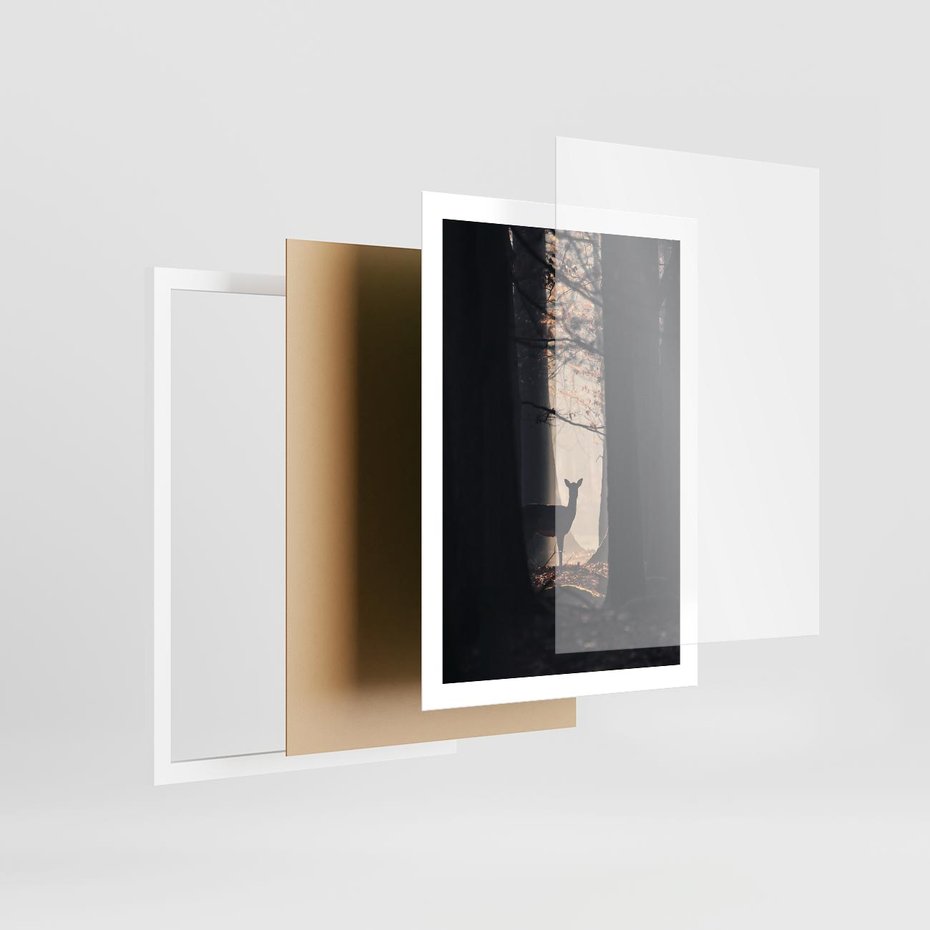 Plakat w ramie 50x70 - Sarnie Skoki - zdjęcie, klimatyczny las - rama biała