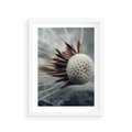 Plakat w ramie 30x40 - Makro Dmuchawiec - dmuchawiec, zbliżenie - rama biała