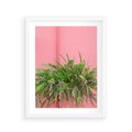 Plakat w ramie 40x50 - Fotografia Rośliny z Różowym Tłem - fotografia, zielona roślina na tle różwj ściany - rama biała