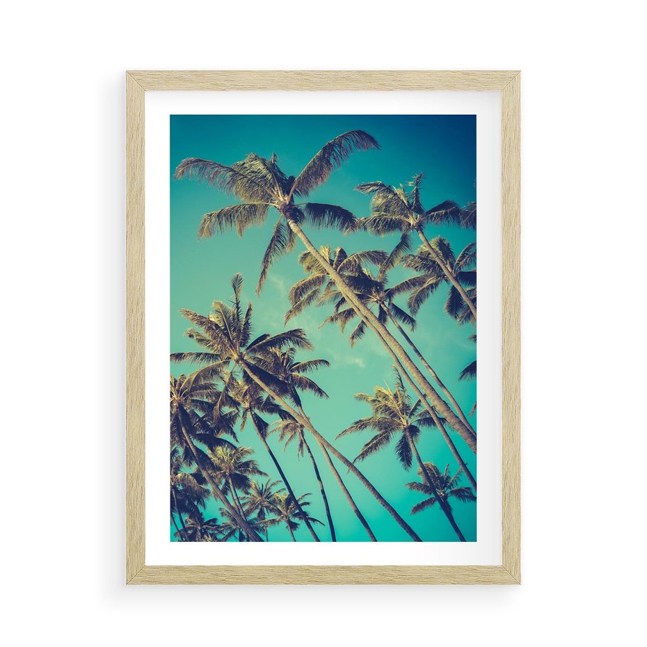 Plakat w ramie 50x70 - Tropikalne palmy w krainie słonecznych wakacji - palmy, tropiki - rama drewno