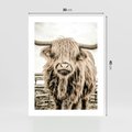 Plakat bez ramy 30x40 - Klimat Wiejskiego Życia - amerykańska krowa, byk
