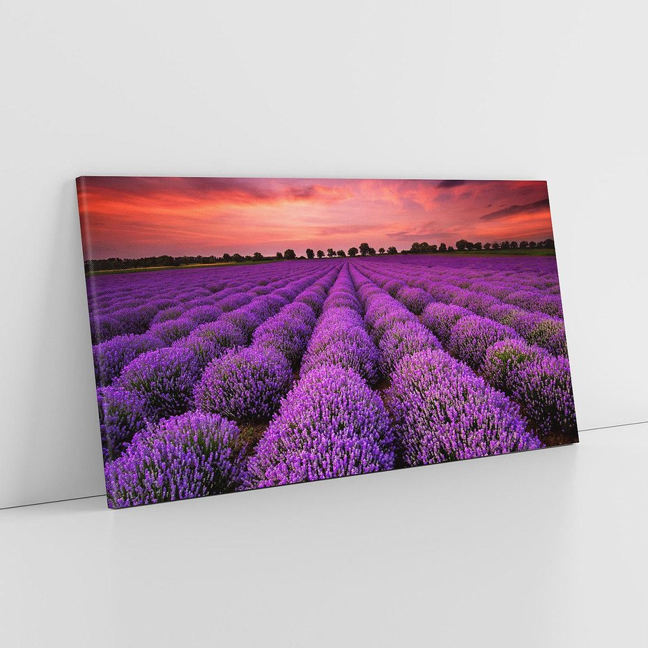 Obraz na płótnie 120x60 - Lawenda: polne zauroczenie - lawenda, kwiaty