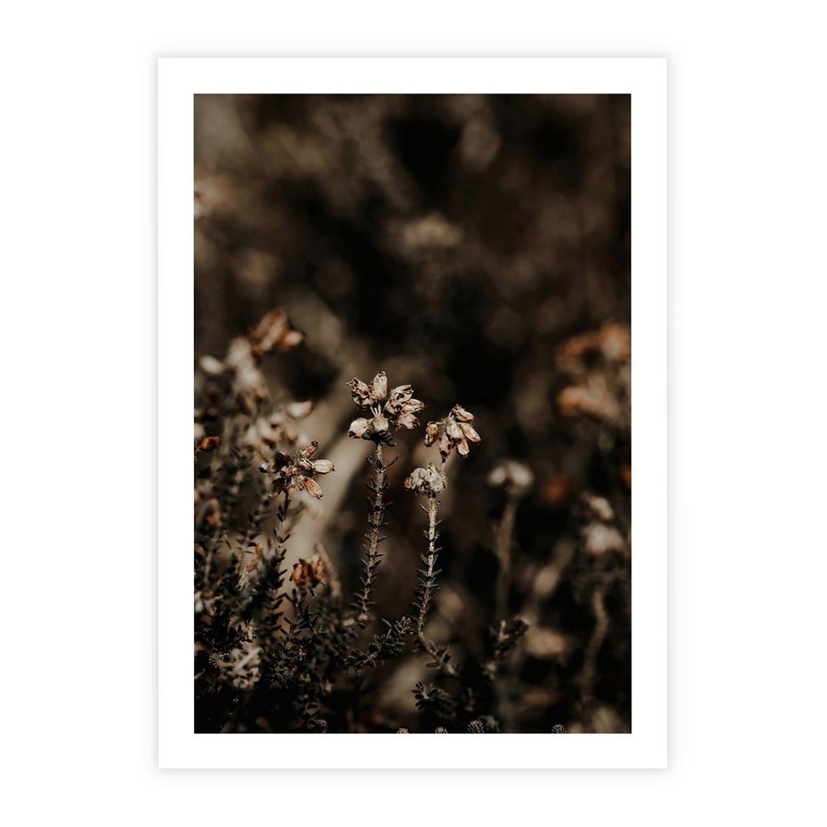 Plakat bez ramy 21x30 - Jesienny Urok - suche trawy, jesienny pejzaż