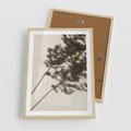 Plakat w ramie 50x70 - Tajemniczy Cień Traw - cień traw, na ścianie - rama drewno